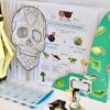Diddy Diners Cookery Activity Pack - Image 2